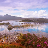 Buy canvas prints of Colorful World of Rannoch Moor. Scotland by Jenny Rainbow