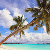 Buy canvas prints of Whispering Palms. Maldives by Jenny Rainbow