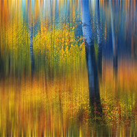 Buy canvas prints of In the Golden Woods. Impressionism  by Jenny Rainbow