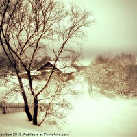 Buy canvas prints of Winter Loneliness by Jenny Rainbow