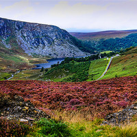 Buy canvas prints of Multicolored Carpet of Wicklow Hills. Ireland by Jenny Rainbow