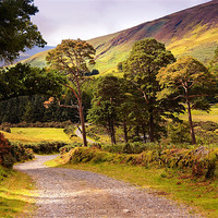 Buy canvas prints of Celtic Spirit. Wicklow  Mountains. Ireland by Jenny Rainbow