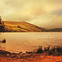 Buy canvas prints of In a Magic Place in a Mystic Mood. Lough Dan. Wick by Jenny Rainbow