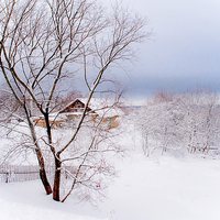 Buy canvas prints of Winter Wonderland. Village under the Snow. Russia by Jenny Rainbow