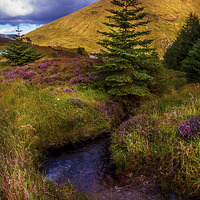 Buy canvas prints of Beauty all Around. Rest and Be Thankful. Scotland by Jenny Rainbow