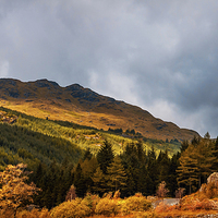Buy canvas prints of I Cant Forget this Light. Scotland by Jenny Rainbow