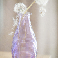 Buy canvas prints of  Purple Vase with Dandelions by Jenny Rainbow
