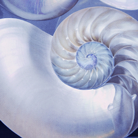 Buy canvas prints of  Seashell. Blue Version  by Jenny Rainbow