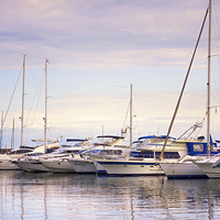 Buy canvas prints of  Moored Yachts  by Jenny Rainbow