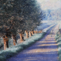 Buy canvas prints of  By Road of Your Dream. Monet Style by Jenny Rainbow