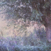 Buy canvas prints of  Blue Willow. Monet Style  by Jenny Rainbow
