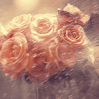 Buy canvas prints of  Rain Red Roses Pastel  by Jenny Rainbow