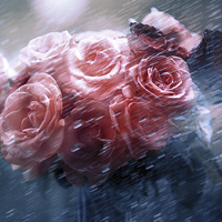 Buy canvas prints of  Rain Red Roses Nostalgia by Jenny Rainbow