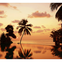 Buy canvas prints of  Tropical Sunset. Triptych by Jenny Rainbow