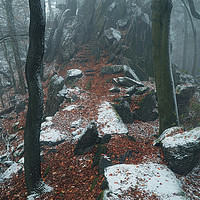 Buy canvas prints of Rocky Path.  In Mysterious Woods                   by Jenny Rainbow