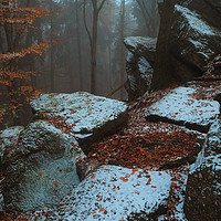 Buy canvas prints of Gothic Rocks. In Mysterious Woods                  by Jenny Rainbow