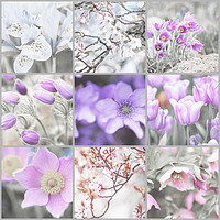 Buy canvas prints of Spring Bloom Collage. Shabby Chic Collection by Jenny Rainbow