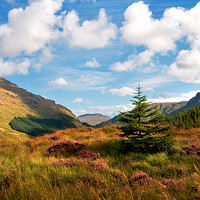 Buy canvas prints of Mountain Pastoral. Rest and Be Thankful. Scotland by Jenny Rainbow