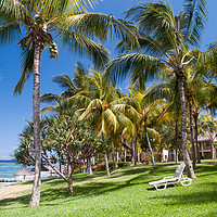 Buy canvas prints of Tropical Beach I. Mauritius by Jenny Rainbow