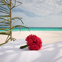 Buy canvas prints of Wedding Bouquet. Maldivian Resort by Jenny Rainbow