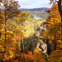 Buy canvas prints of Autumn Splendor. Saxon Switzerland by Jenny Rainbow
