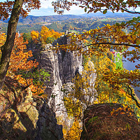Buy canvas prints of Autumnal Frame. Saxon Switzerland by Jenny Rainbow