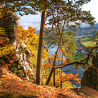 Buy canvas prints of Trees On The Edge. Saxon Switzerland by Jenny Rainbow