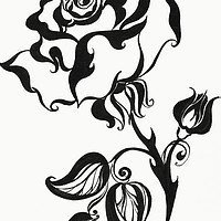 Buy canvas prints of Ink Drawing Chinese Rose by Jenny Rainbow