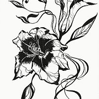 Buy canvas prints of Ink Drawing Lily Elegance by Jenny Rainbow