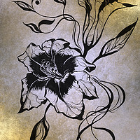 Buy canvas prints of Ink Drawing Lily Elegance Golden by Jenny Rainbow
