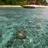 Buy canvas prints of Coral Reef at Maldivian Island by Jenny Rainbow