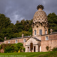 Buy canvas prints of The Dunmore Pineapple Building by Jenny Rainbow