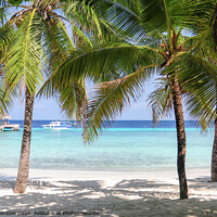 Buy canvas prints of Tropical beach with palms in Maldives by Jenny Rainbow