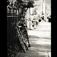 Buy canvas prints of Amsterdam Posters. Shadow Part of Street by Jenny Rainbow