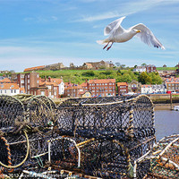 Buy canvas prints of Gull at Whitby by colin potts