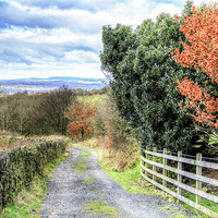 Buy canvas prints of A country lane in autumn by Mike Dickinson
