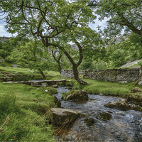 Buy canvas prints of  Malham Cove brook by Mike Dickinson
