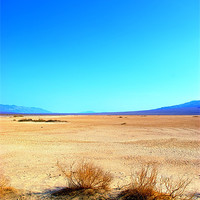 Buy canvas prints of Life in Death (valley) by chris wood