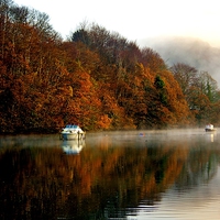 Buy canvas prints of Misty Morning Looe by chris wood