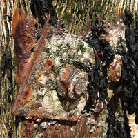 Buy canvas prints of Corrosion 2 by paul sexton