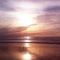 Buy canvas prints of Sunset at Santa Monica by Diane  Mohlman