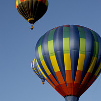 Buy canvas prints of Hot air balloons by Diane  Mohlman