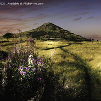 Buy canvas prints of Golden Fields of Roseberry Topping by richard sayer