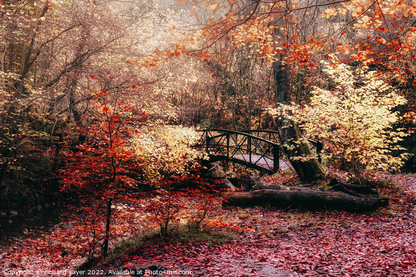 Autumn Bridge Picture Board by richard sayer