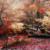 Buy canvas prints of Autumn Bridge by richard sayer