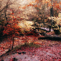 Buy canvas prints of Enchanting Autumn Bridge by richard sayer