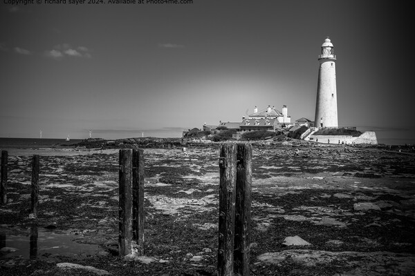 Whitley Bay Lighthouse Monochrome Picture Board by richard sayer
