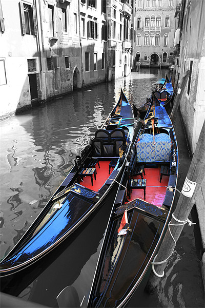 Serenity on Venetian Canals Picture Board by richard sayer