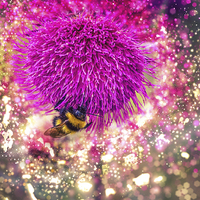 Buy canvas prints of  Busy Bee by richard sayer