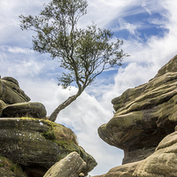 Buy canvas prints of  Between a Rock and a Hard Place by richard sayer